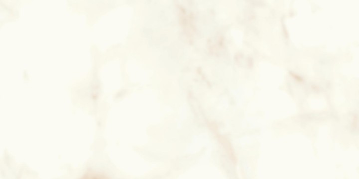 Напольная Atlas Concorde Marvel Shine Marvel Calacatta Delicato 30x60 Silk — фото 2
