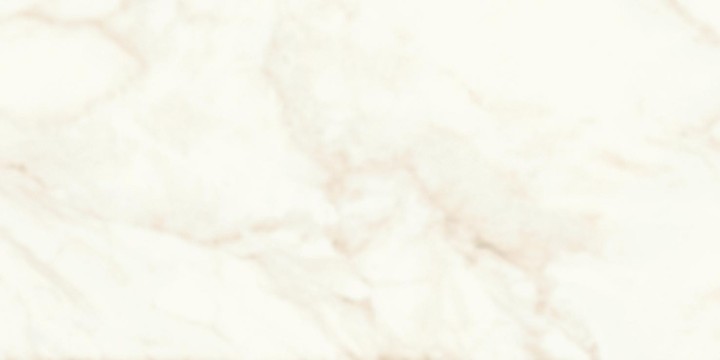 Напольная Atlas Concorde Marvel Shine Marvel Calacatta Delicato 30x60 Silk — фото 5