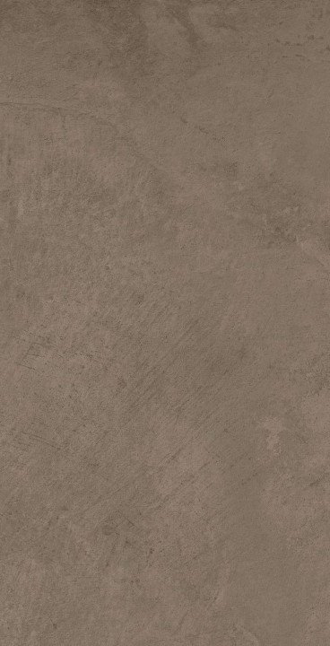 Матовый Atlas Concorde Raw Mud 37,5x75 — фото 3