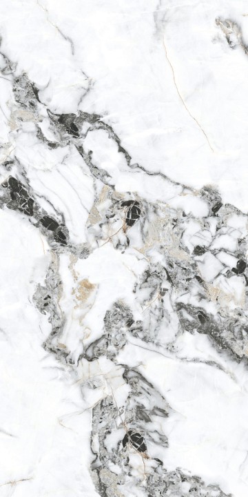 Полированный Basconi Home Керамогранит BHW-0035 Bianco Gold Soft Polished 600х1200x10 — фото 2