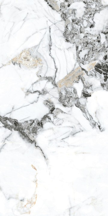 Полированный Basconi Home Керамогранит BHW-0035 Bianco Gold Soft Polished 600х1200x10 — фото 4