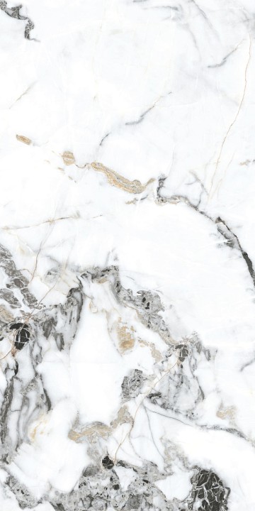 Полированный Basconi Home Керамогранит BHW-0035 Bianco Gold Soft Polished 600х1200x10 — фото 5