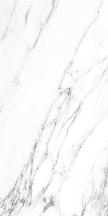 Полированный Basconi Home Керамогранит BHW-0037 Bianco Soft Polished (Gold) 600х1200x8 — фото 5