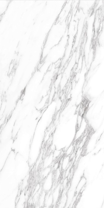 Полированный Basconi Home Керамогранит BHW-0037 Bianco Soft Polished (Gold) 600х1200x8 — фото 6