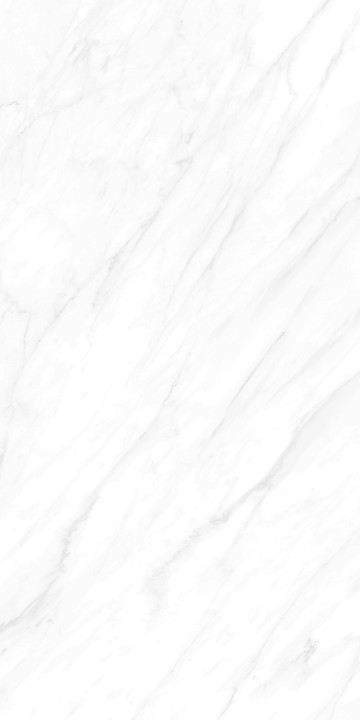 Полированный Basconi Home Керамогранит BHW-0022 Carrara Matt Grains Soft-Polished Mould 600х1200x10 — фото 5