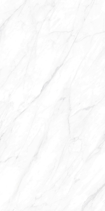 Полированный Basconi Home Керамогранит BHW-0022 Carrara Matt Grains Soft-Polished Mould 600х1200x10 — фото 6