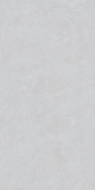 Лаппатированный Basconi Home Керамогранит BHW-0023 Cateye Light Grey Grains Soft-Polished Mould 600х1200x10 — фото 5