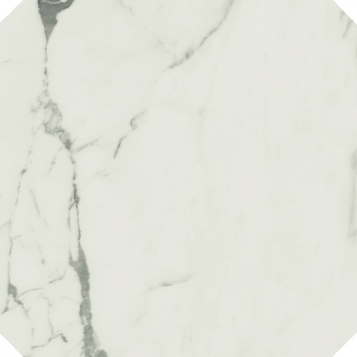 Caesar Декоративный элемент Anima Statuario Venato Ottagono 60x60 полированный