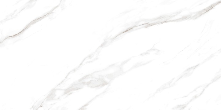 Ceradim Calacatta Regal Gray Calacatta Regal Grey Керамогранит белый 60х120 Полированный