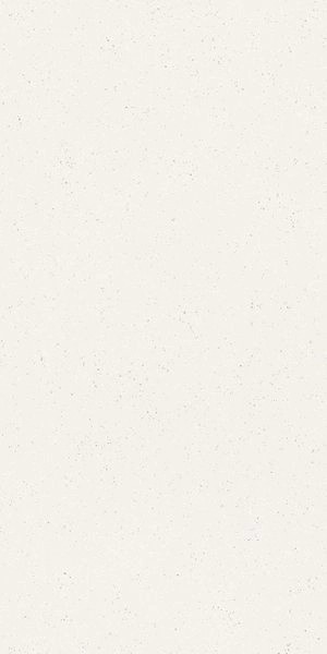 Матовый Cerdomus Cohesa Bianco Matt 60x120 RT — фото 14
