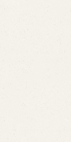 Матовый Cerdomus Cohesa Bianco Matt 60x120 RT — фото 16