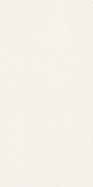 Матовый Cerdomus Cohesa Bianco Matt 60x120 RT — фото 18