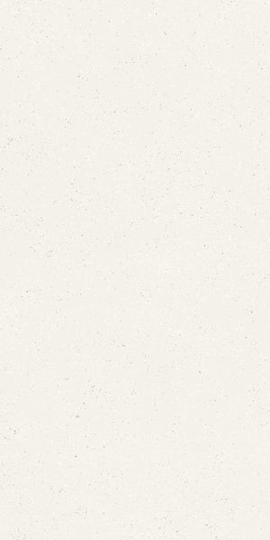 Матовый Cerdomus Cohesa Bianco Matt 60x120 RT — фото 4
