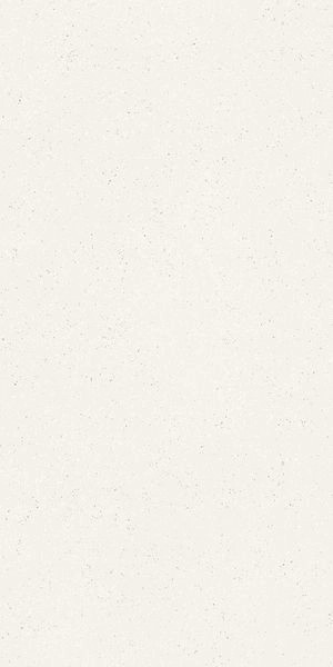 Матовый Cerdomus Cohesa Bianco Matt 60x120 RT — фото 5