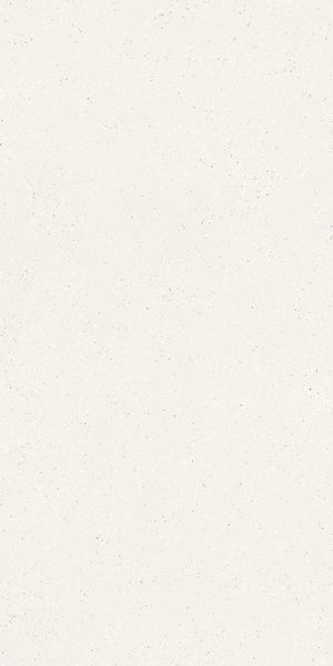 Матовый Cerdomus Cohesa Bianco Matt 60x120 RT — фото 6