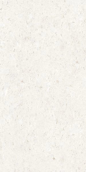 Напольная Cerdomus Miralith Gesso Matt 60x120 RT — фото 2