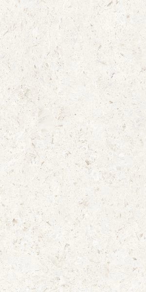 Напольная Cerdomus Miralith Gesso Matt 60x120 RT — фото 12