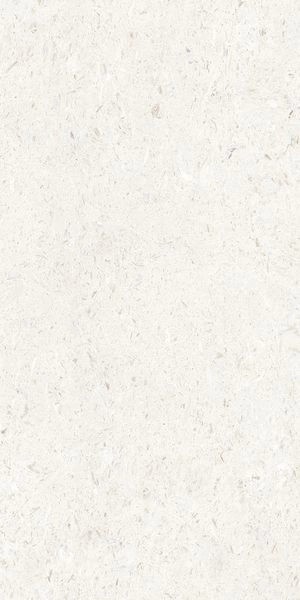 Напольная Cerdomus Miralith Gesso Matt 60x120 RT — фото 4