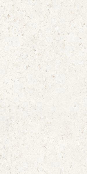 Напольная Cerdomus Miralith Gesso Matt 60x120 RT — фото 10