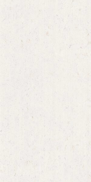 Напольная Cerdomus Miralith Trame Gesso Matt 60x120 RT — фото 3