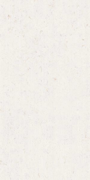 Напольная Cerdomus Miralith Trame Gesso Matt 60x120 RT — фото 9