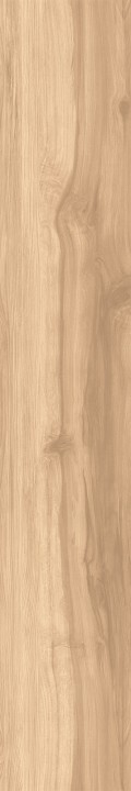 Матовый Creanza FOSSIL WOOD BRICH 20х120 — фото 2
