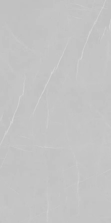 Полированный Eurotile Керамогранит 906 PIETRA GRAY 80х160 — фото 2