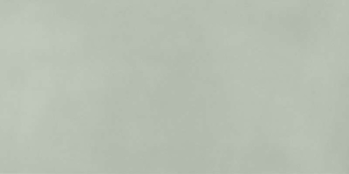 Плитка настенная FAP Ceramiche Color Mood Menta Matt 80x160