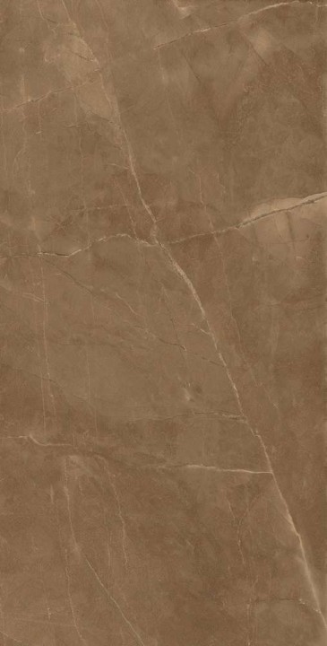 Global Tile Керамогранит Athena Коричневый 60x120 Полированный/32 — фото 2