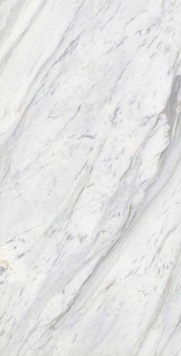 Global Tile Керамогранит Calacatta Belgia Белый 60x120 Полированный — фото 5