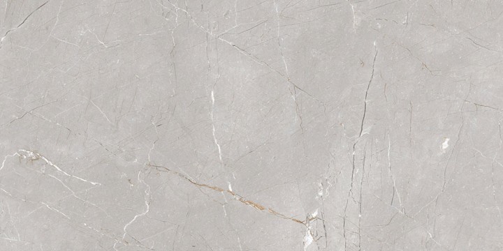 Матовый Gravita Larice Grey 60x120 — фото 4