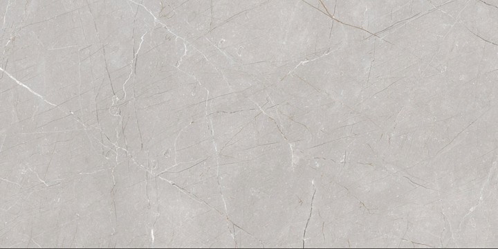 Матовый Gravita Larice Grey 60x120 — фото 5