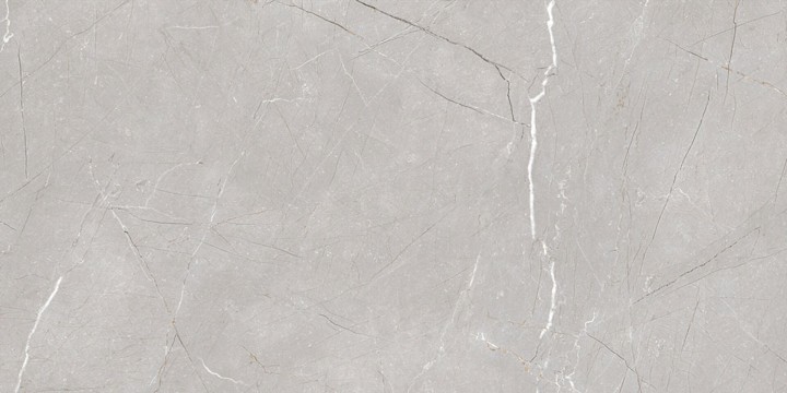 Матовый Gravita Larice Grey 60x120 — фото 9