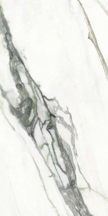 Матовый Impronta Italgraniti Charm Experience Calacatta Green Sq. 120x60 — фото 2