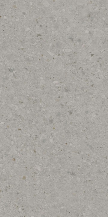 Полированный Керама Марацци Kerama Marazzi Чеппо ди Гре Керамогранит серый матовый обрезной DD507820R 60x119,5 — фото 2