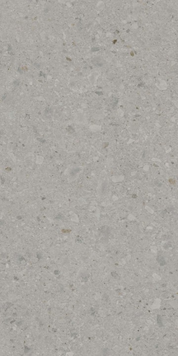 Полированный Керама Марацци Kerama Marazzi Чеппо ди Гре Керамогранит серый матовый обрезной DD507820R 60x119,5 — фото 4
