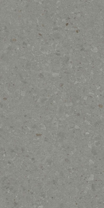 Полированный Керама Марацци Kerama Marazzi Чеппо ди Гре Керамогранит серый тёмный матовый обрезной DD507920R 60x119,5 — фото 2
