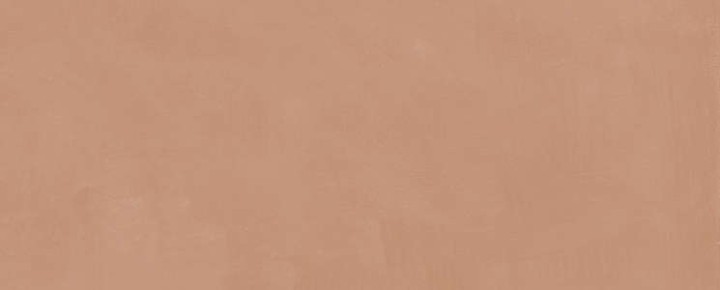 Керама Марацци Плитка настенная Kerama Marazzi Каннареджо Оранжевая Матовая 20x50x0.8 — фото 2