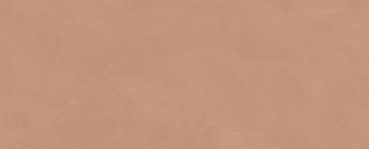 Керама Марацци Плитка настенная Kerama Marazzi Каннареджо Оранжевая Матовая 20x50x0.8 — фото 5