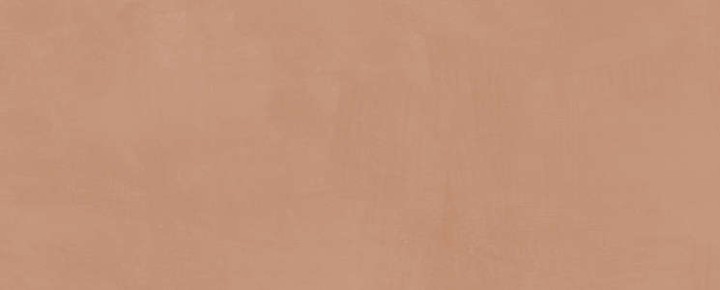 Керама Марацци Плитка настенная Kerama Marazzi Каннареджо Оранжевая Матовая 20x50x0.8 — фото 7