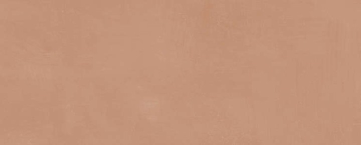 Керама Марацци Плитка настенная Kerama Marazzi Каннареджо Оранжевая Матовая 20x50x0.8 — фото 8