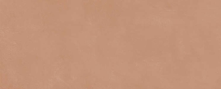 Керама Марацци Плитка настенная Kerama Marazzi Каннареджо Оранжевая Матовая 20x50x0.8 — фото 9