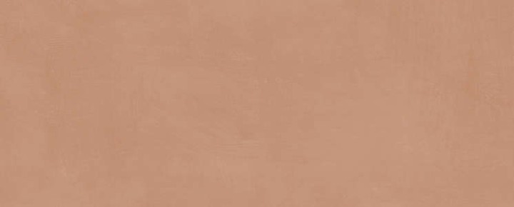 Керама Марацци Плитка настенная Kerama Marazzi Каннареджо Оранжевая Матовая 20x50x0.8 — фото 10