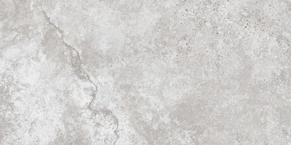 Настенная Lasselsberger 6260-0231 Киплинг светло-серый 30х60 — фото 2