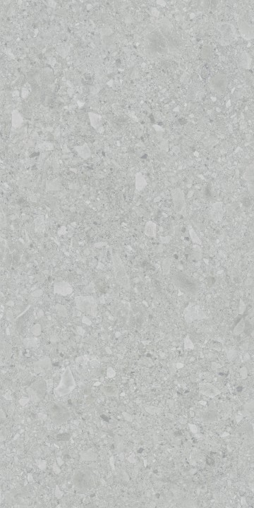 Матовый LB-Ceramics Керамогранит Иней Техно 6493-0196 60х120 серый — фото 3
