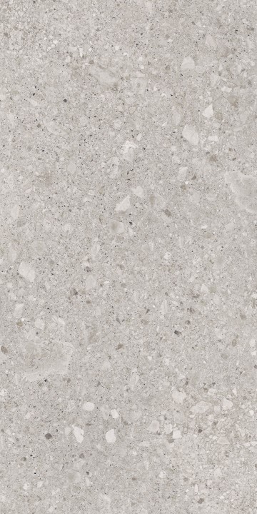 Матовый LB-Ceramics Керамогранит Иней 6493-0136 60х120 серый — фото 2