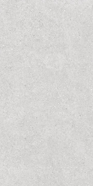Матовый LB-Ceramics Оттепель Техно Керамогранит Оттепель Tech 6493-0209 60х120 камень светло-серый — фото 9