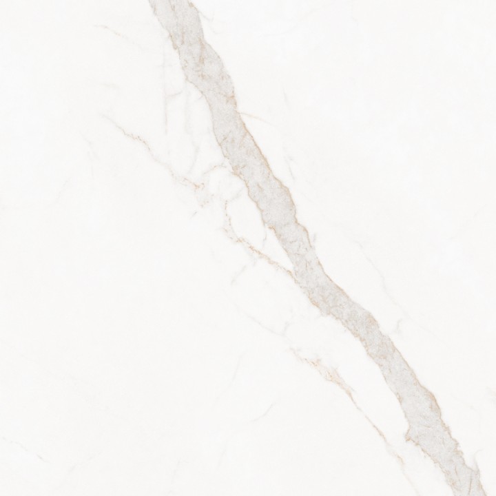 Матовый Living Ceramics Blanc Calacatta Gold Soft 120x120 — фото 5