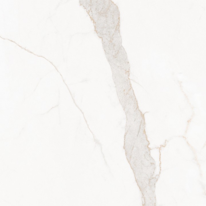 Матовый Living Ceramics Blanc Calacatta Gold Soft 120x120 — фото 9