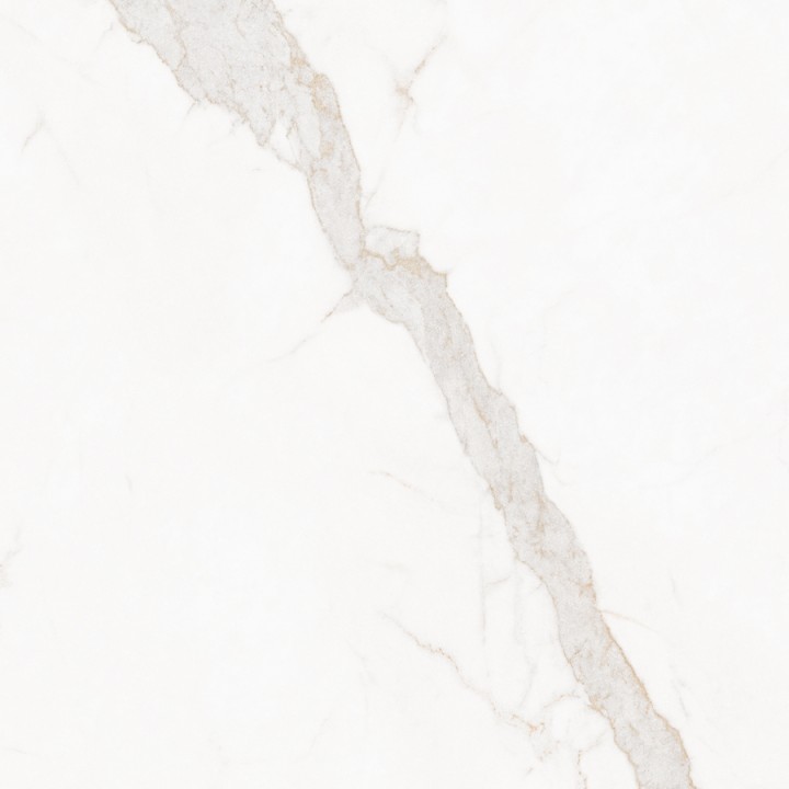 Матовый Living Ceramics Blanc Calacatta Gold Soft 120x120 — фото 12